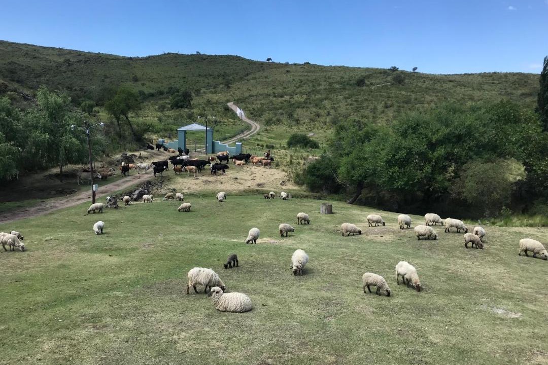 Photo of Others in Calamuchita Valley