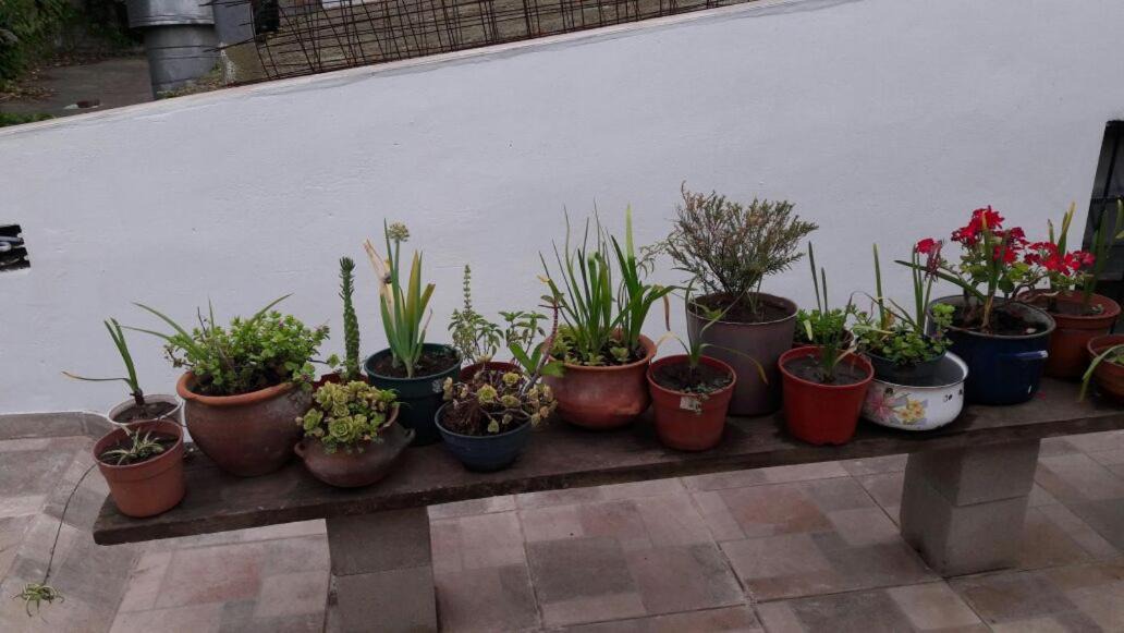 Photo of Others in General Rodriguez