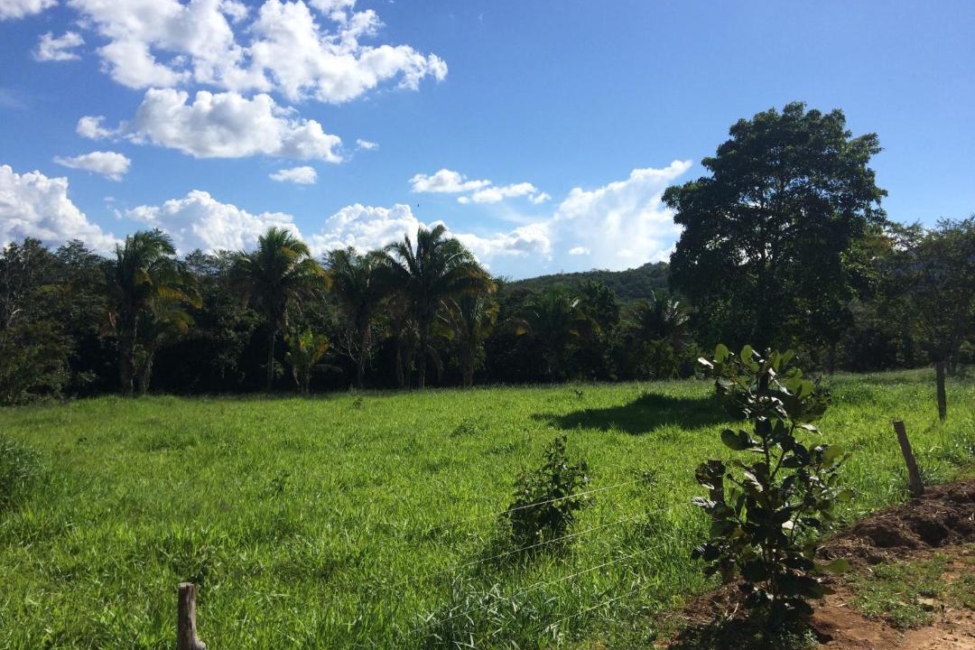 Photo of Others in Cavalcante