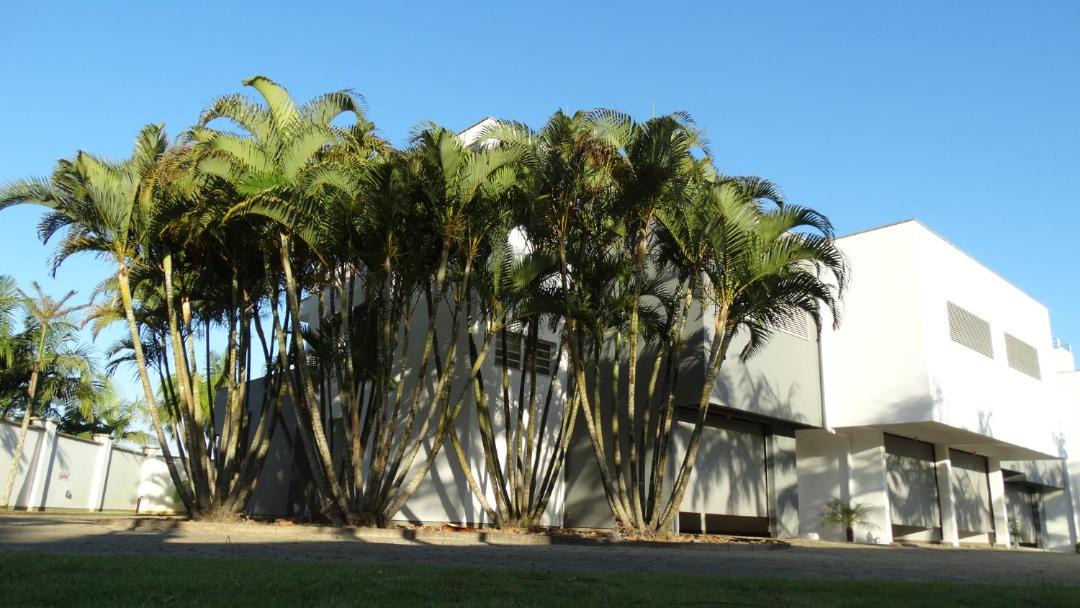 Photo of Others in Criciuma