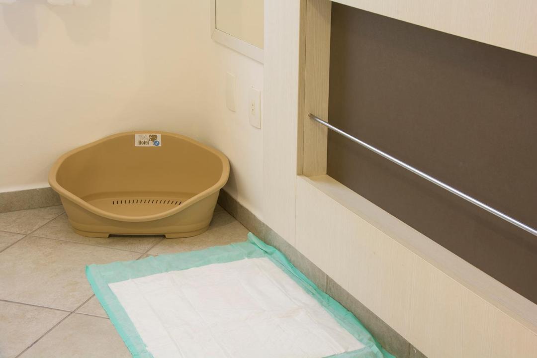 Photo of Bathroom in Vila Julia