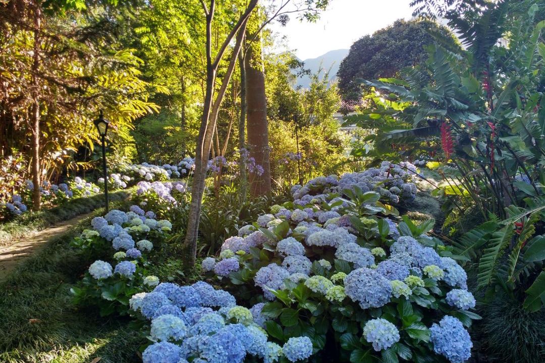 Photo of Outdoor in Caparao Velho