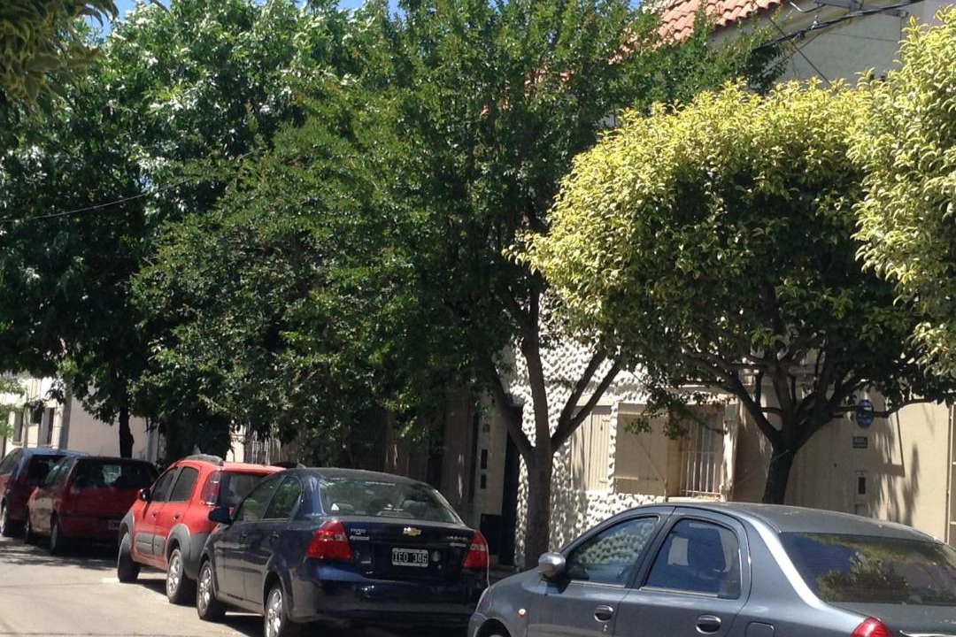 Photo of Others in Rosario