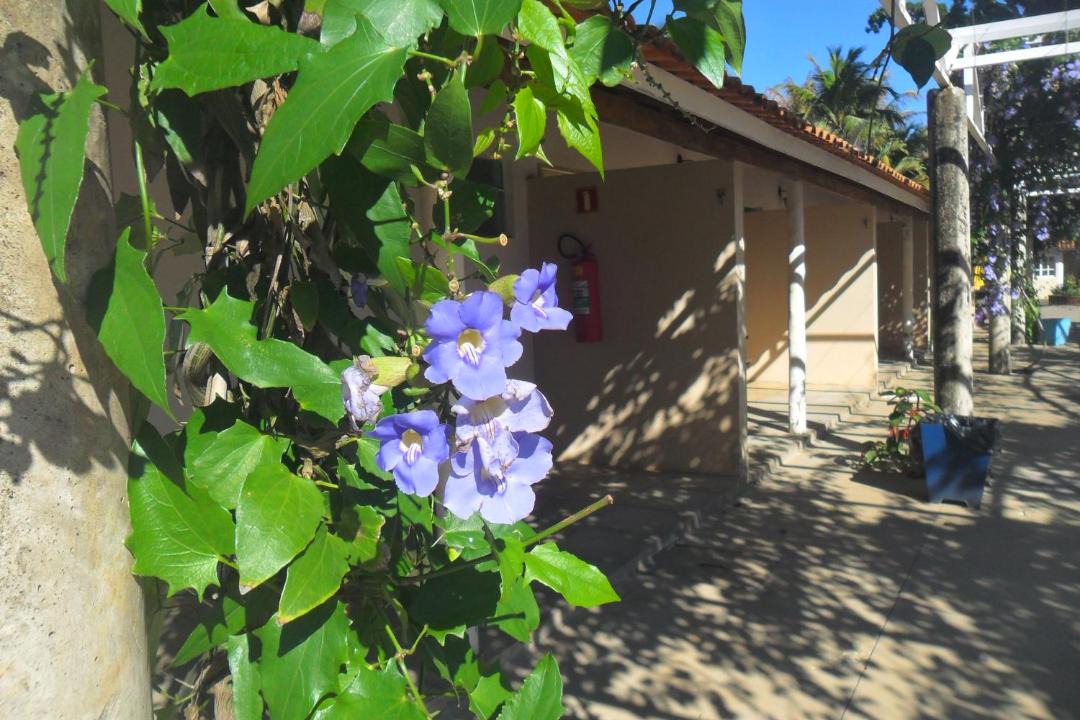 Photo of Buildings in Alvares Machado