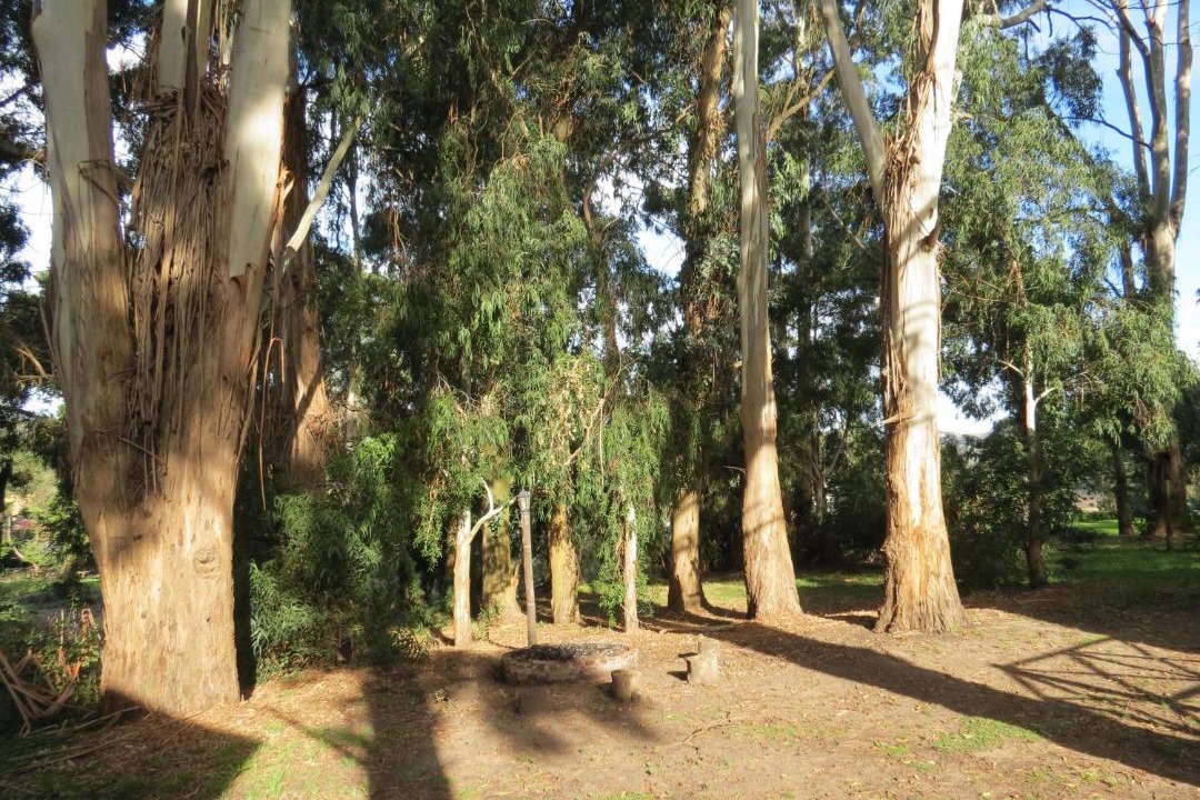 Photo of Others in Sierra de los Padres