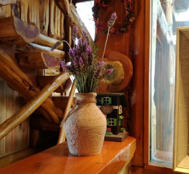 Photo of Livingroom in Mar de Las Pampas