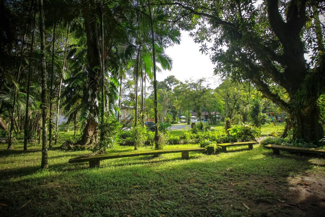 Photo of Others in Pantanal
