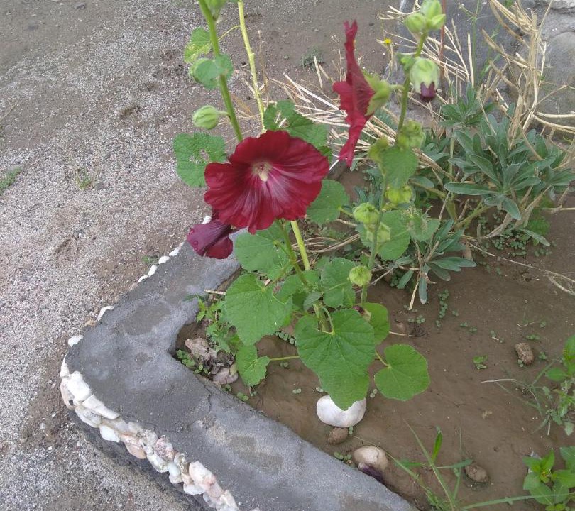 Photo of Outdoor in Amaicha Del Valle