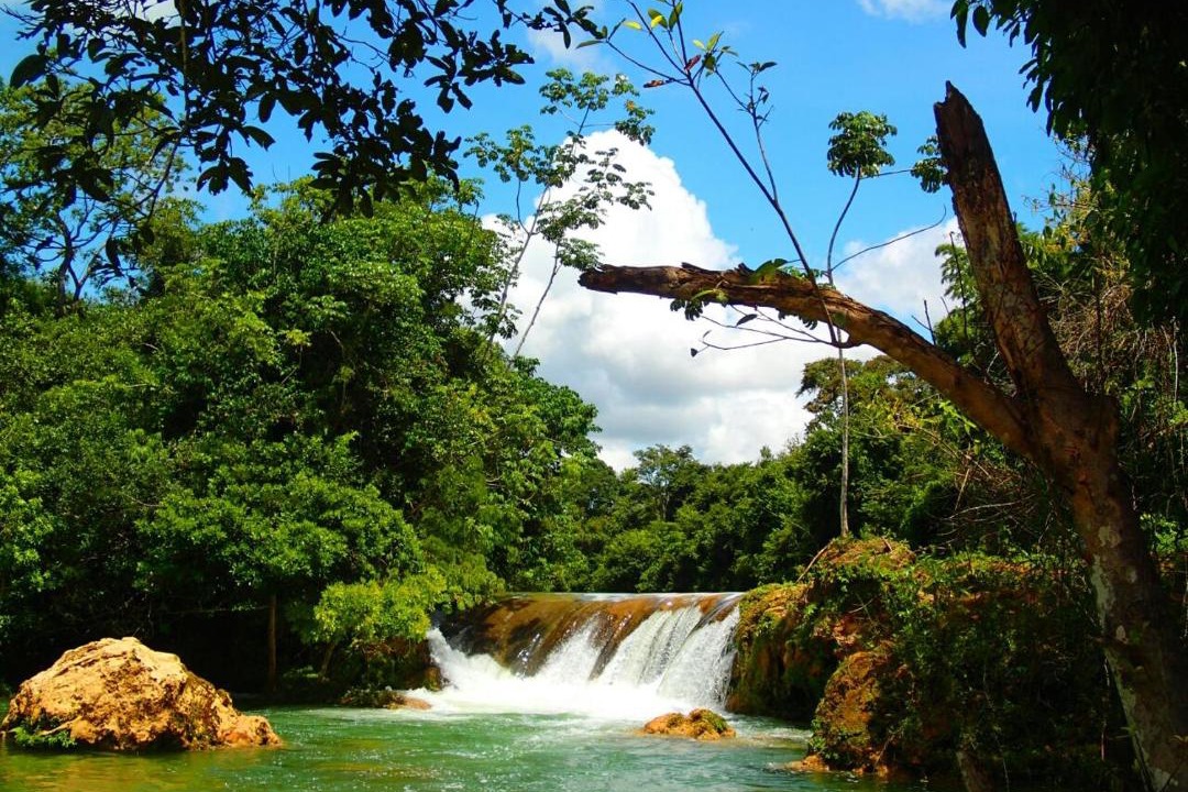 Photo of Others in Bodoquena