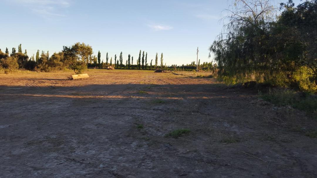 Photo of Others in Cuadro Nacional