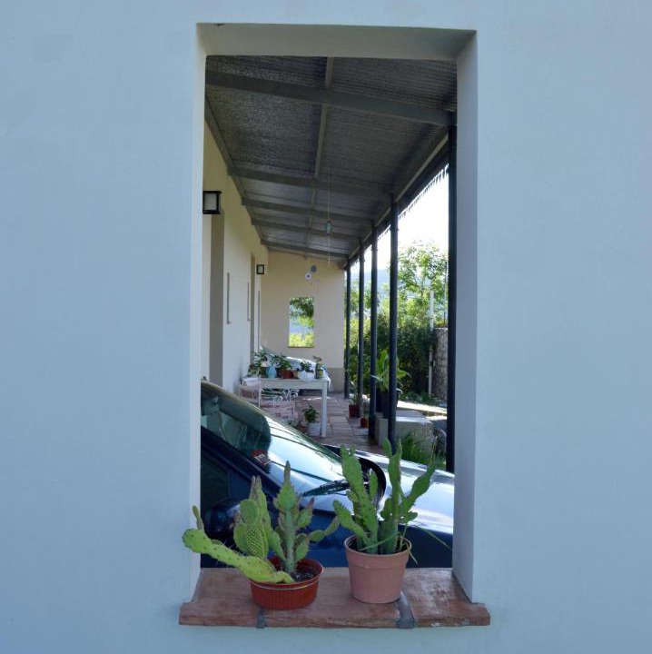 Photo of Others in Vaqueros