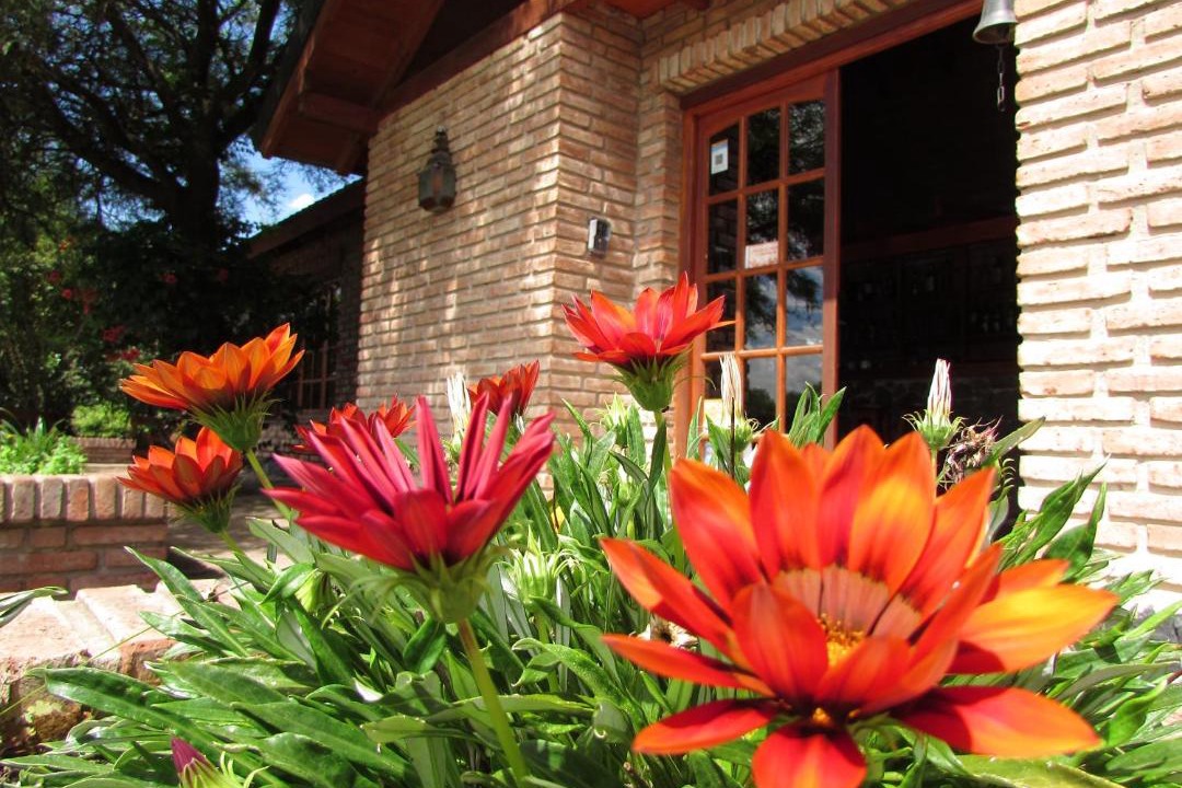 Photo of Others in Villa General Belgrano