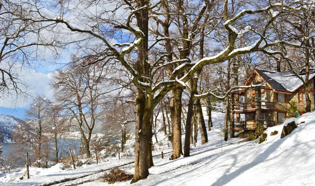 Photo of Others in Lanin National Park