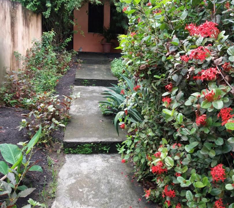 Photo of Others in Cachoeira