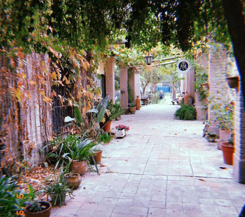 Photo of Others in San Martin