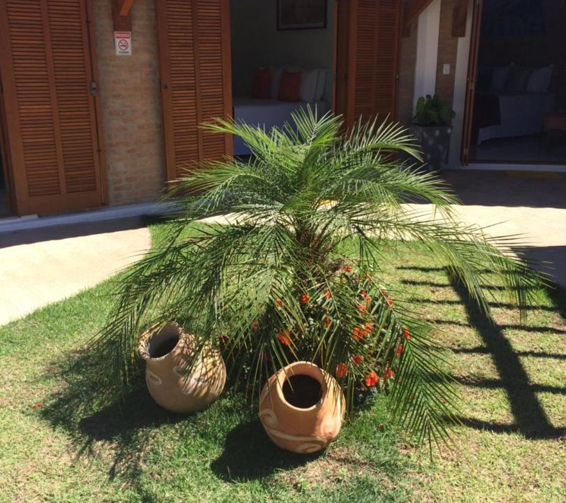 Photo of Others in Monte Alegre do Sul