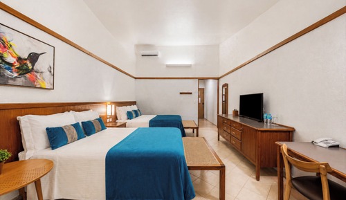 Superior Double or Twin Room