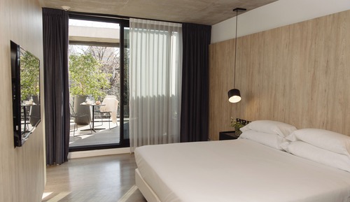 Deluxe Room, Terrace