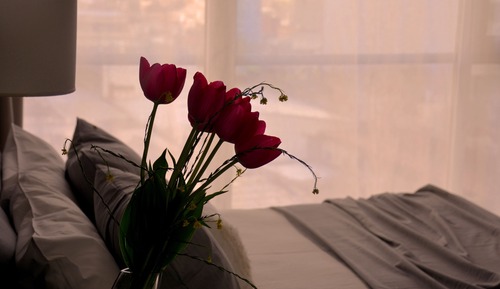 Superior Double Room, 2 Queen Beds