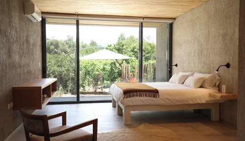 Junior Suite Garden