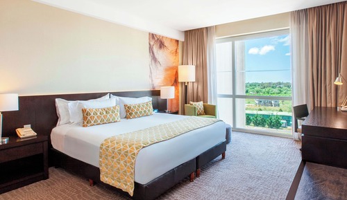 Superior Room, 1 King Bed