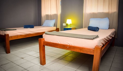 Basic Twin Room