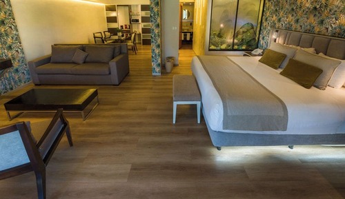 Suite (Junior Suite with Garden View)