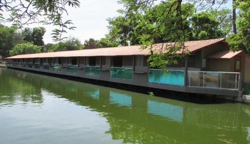 Deluxe Chalet