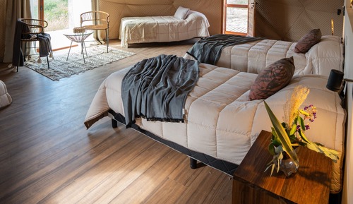 Premium Triple Room