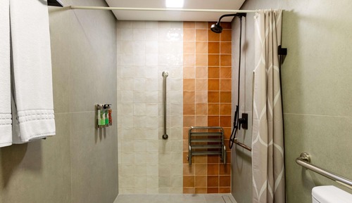 Premium Room, 1 Queen Bed, Mobility Accessible (Luxury)