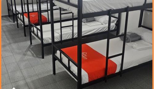 Bunk Bed in Male Dormitory Room 