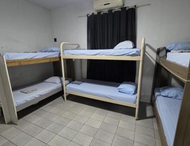 Bunk Bed in Mixed Dormitory Room