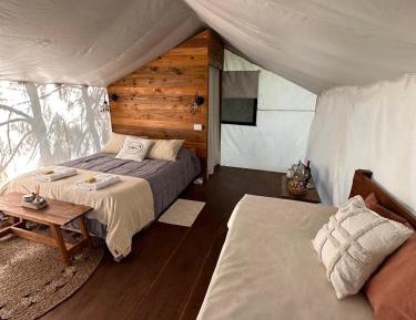 Comfort Quadruple Room
