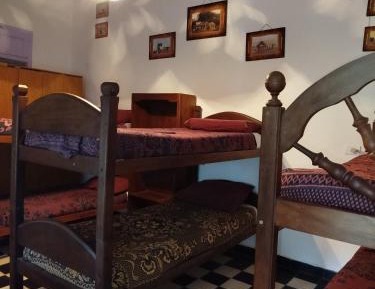Bunk Bed in Male Dormitory Room 