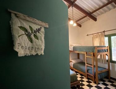 Quadruple Room with Shared Bathroom