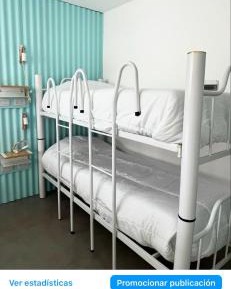 Bed in 4-Bed Female Dormitory Room