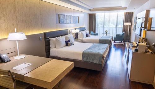 Deluxe Queen Suite with Park View - Mobility Accessible