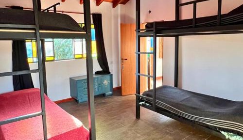Single Bed in Mixed Dormitory Room