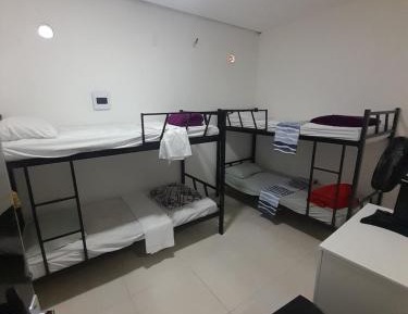 Bunk Bed in Male Dormitory Room 