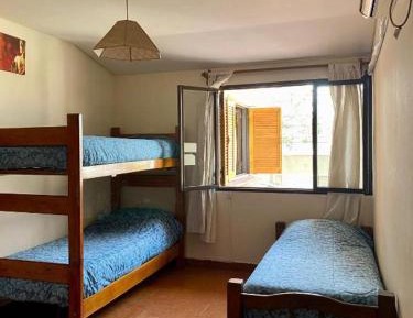Bed in 4-Bed Mixed Dormitory Room