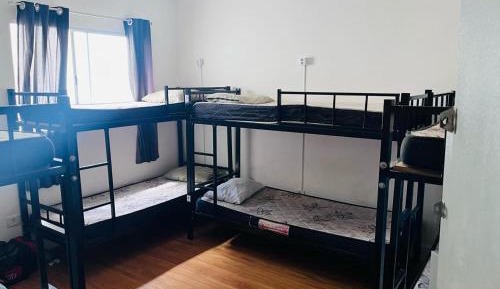 Bed in 8-Bed Mixed Dormitory Room