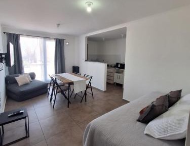 Standard Apartment