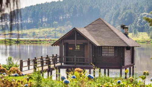 Bungalow - Water Front 