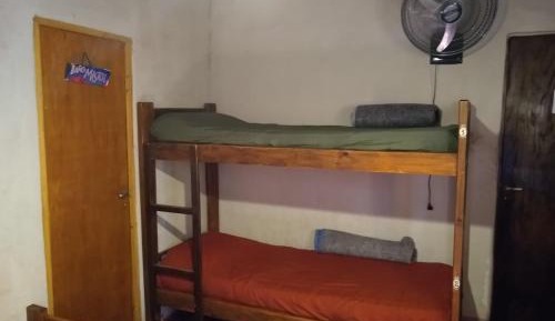 Single Bed in Mixed Dormitory Room