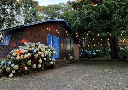 One-Bedroom Chalet