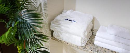 Deluxe Queen Suite