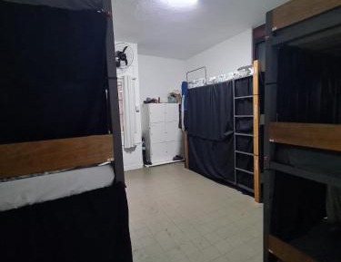 Bunk Bed in Mixed Dormitory Room