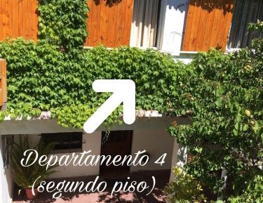 Apartment - Ground Floor