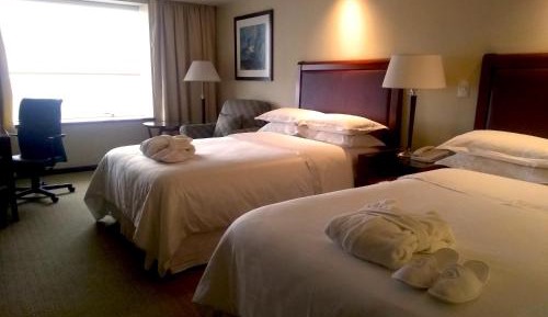 Guest room, 2 Twin/Single Bed(s)