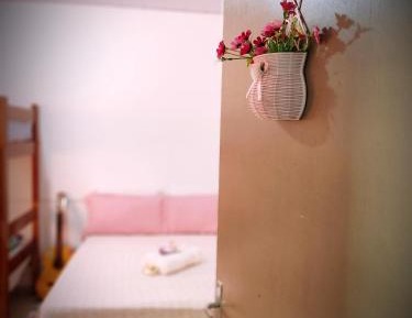 Bed in 6-Bed Mixed Dormitory Room